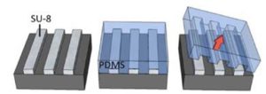 قالب گیری PDMS در ساخت سیستم های میکروفلوئیدیک